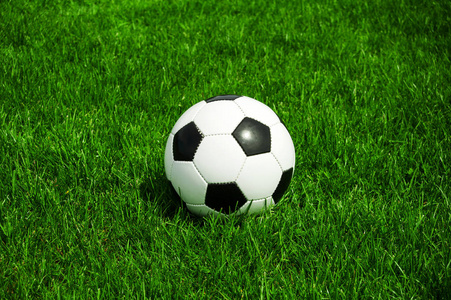 多人交流讨论场景