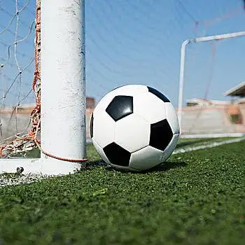 足球网竞彩网官网平台界面展示